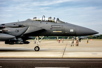 493rd Fighter Squadron,"Grim Reapers",USAFE